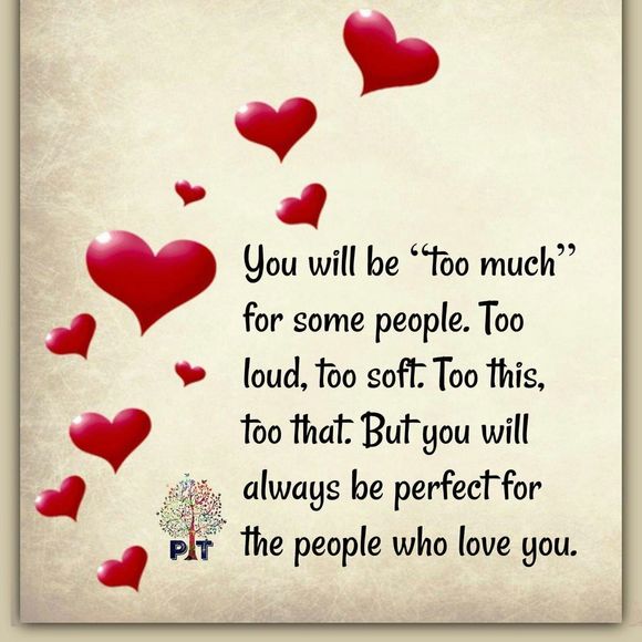 Meet your Posher, Jellie - Picture 1 of 1